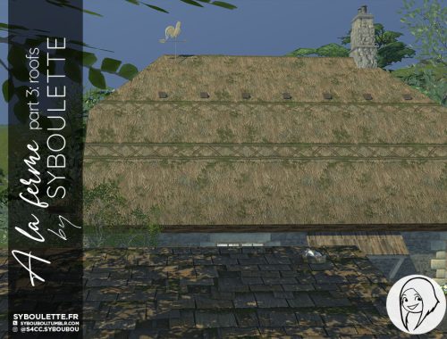 A la ferme part 3: Roofs