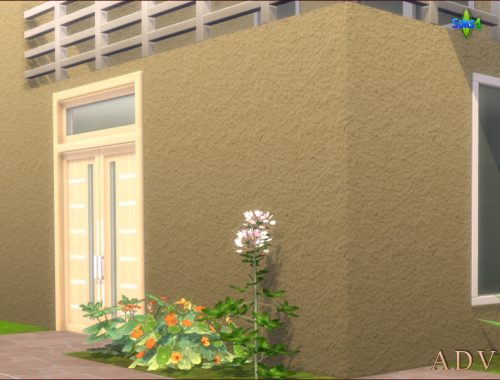Exterior Plaster Walls