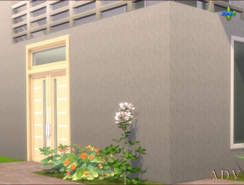 Exterior Plaster Walls