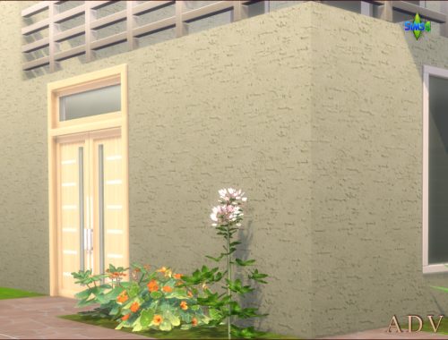 Exterior Plaster Walls