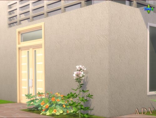 Exterior Plaster Walls