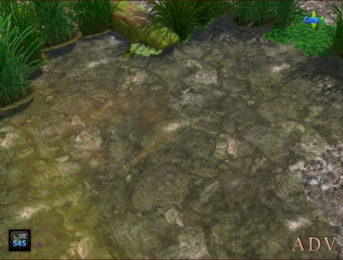 Pool And Pond Water