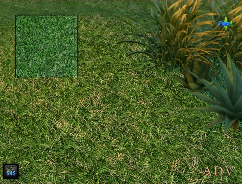 Terrain Paints Grass