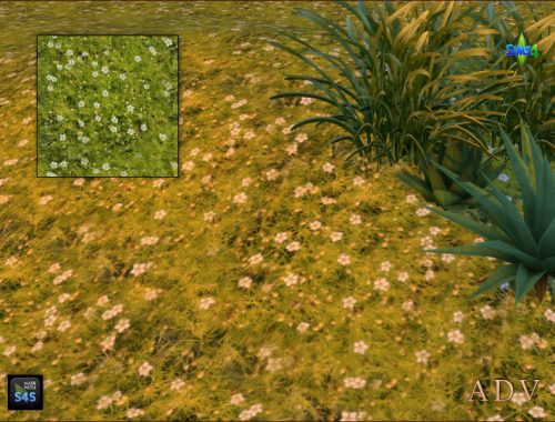 Terrain Paints Grass