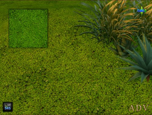 Terrain Paints Grass