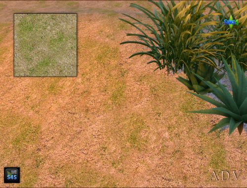 Terrain Paints Grass