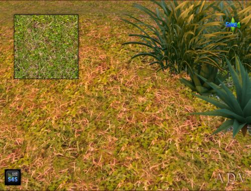 Terrain Paints Grass