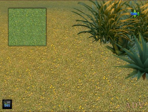 Terrain Paints Grass