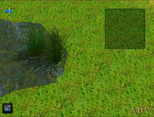 Terrain Paints Swamp
