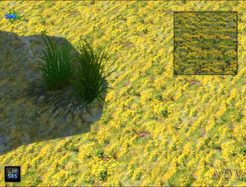 Terrain Paints Swamp