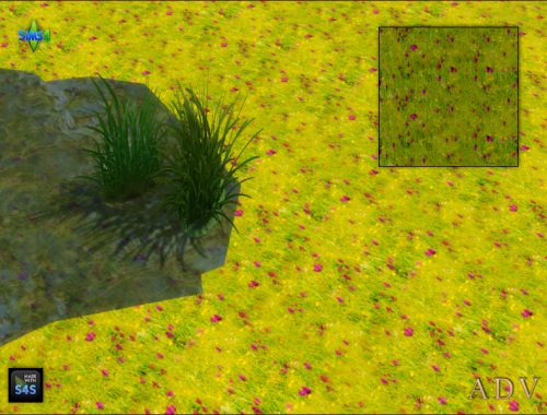 Terrain Paints Swamp