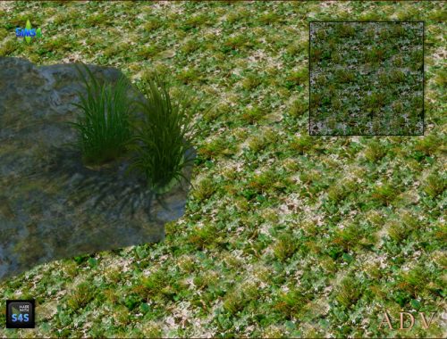 Terrain Paints Swamp