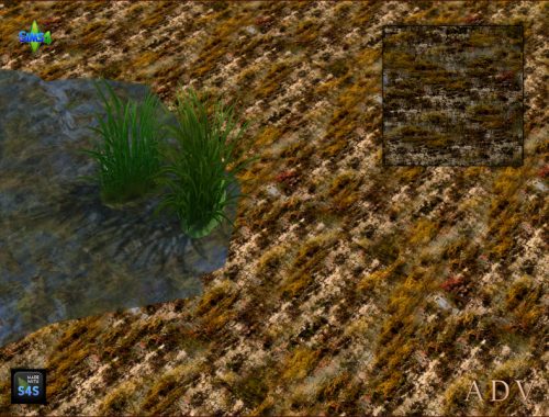 Terrain Paints Swamp