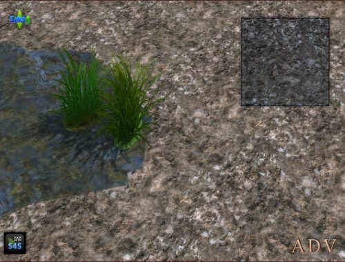 Terrain Paints Swamp