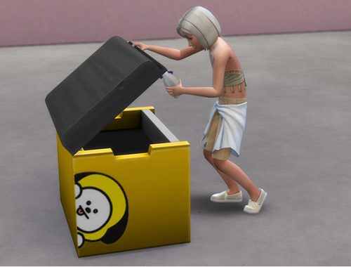 BT21 Toy Box