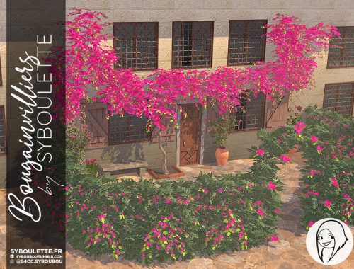 Bougainvilliers set