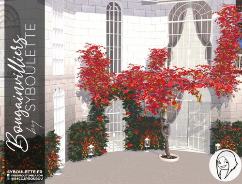 Bougainvilliers set