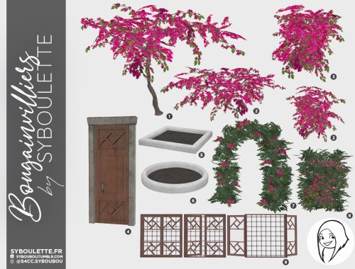 Bougainvilliers set