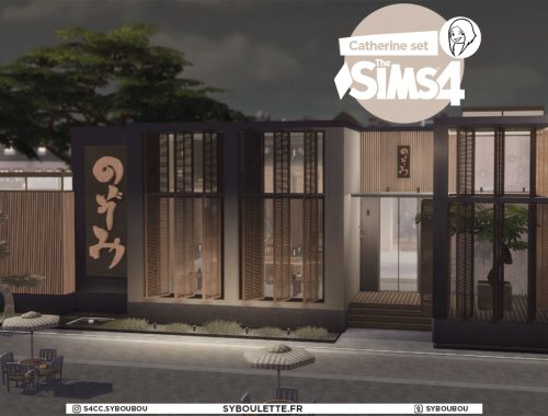 Catherine sushis restaurant set