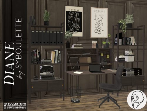 Diane Office set