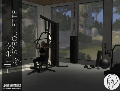 Fitness set