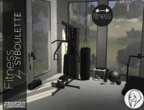 Fitness set