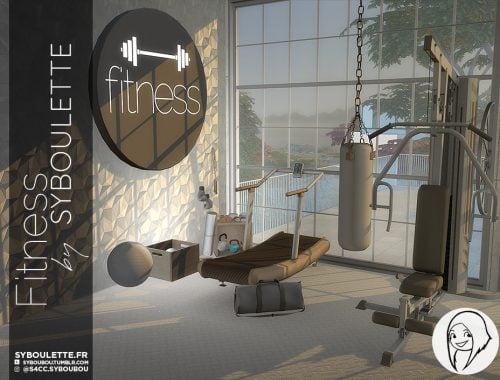 Fitness set