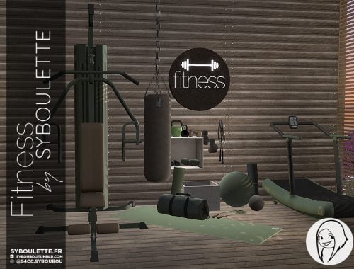 Fitness set