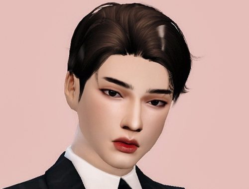 The Sims 4 | BTS KIM SEOKJIN | Male