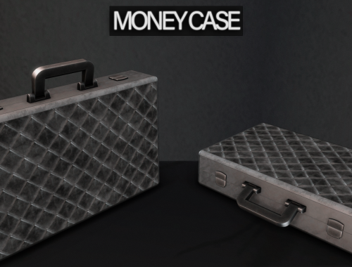 Money Case