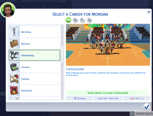 Cheerleading Career