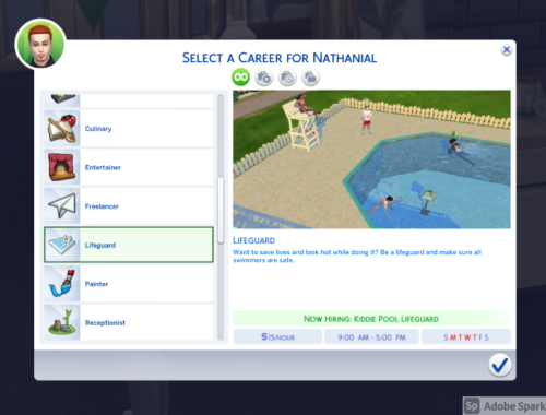Lifeguard Career