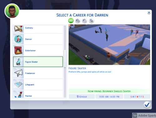 Ice Skating Career