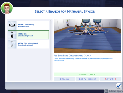 All Star Cheerleading Coach Career