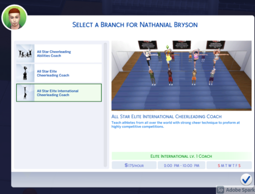 All Star Cheerleading Coach Career
