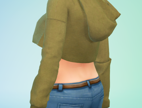 The Sims4 Cropped Hoodie 14 different colors