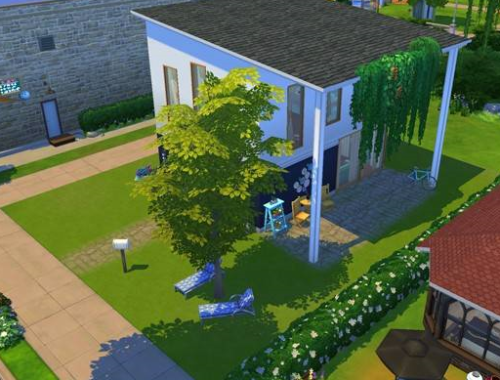 Small house for lovebirds