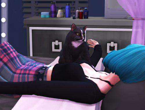 I love my cat pose pack