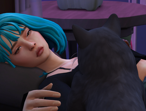 I love my cat pose pack