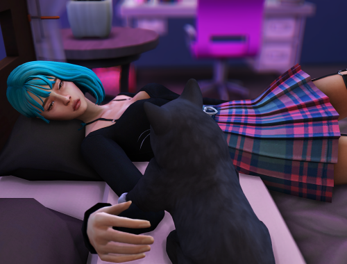 I love my cat pose pack
