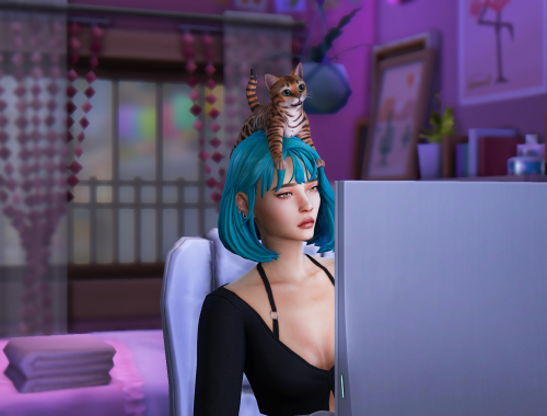 I love my cat pose pack