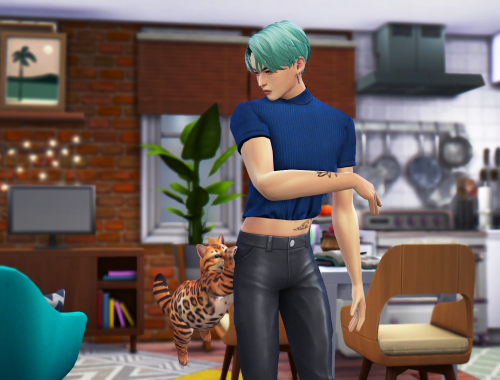 I love my cat pose pack