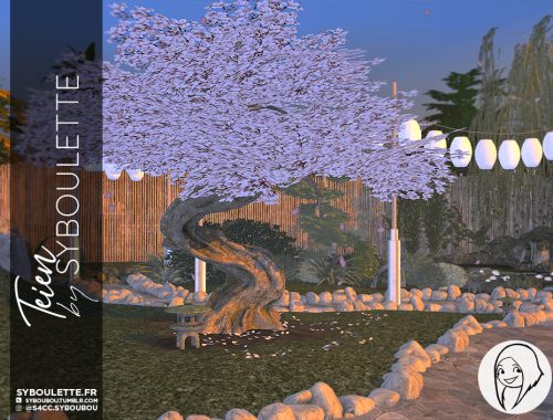 Teien Zen Garden set