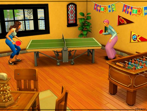 The Dancing Pig Pub