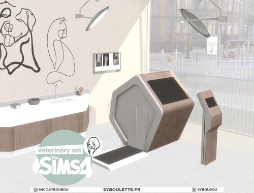 Veterinary set