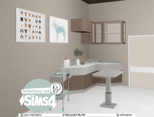 Veterinary set