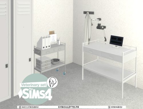 Veterinary set
