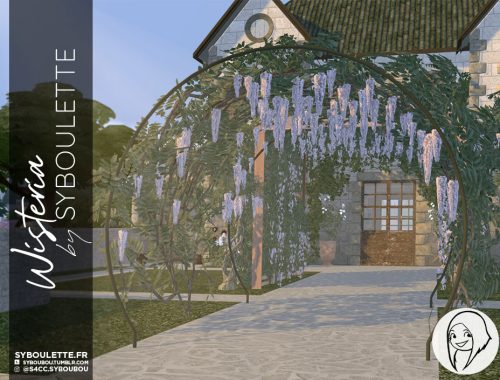 Wisteria set