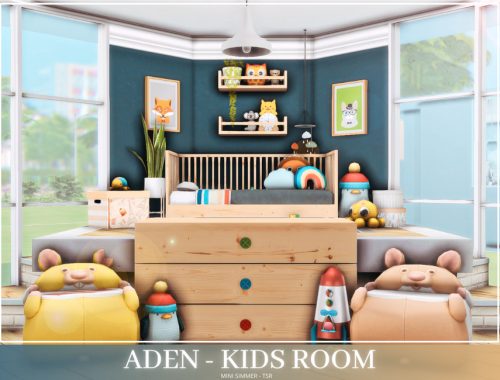 Aden Kids room
