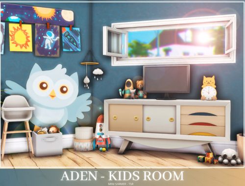 Aden Kids room